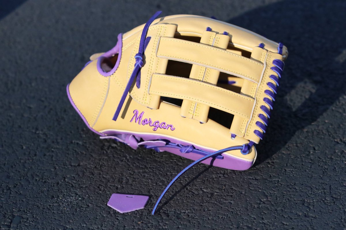 ProSpecGloves's tweet photo. Beautiful Dark Camel and Purple Spec https://t.co/4RuK3zCNvH