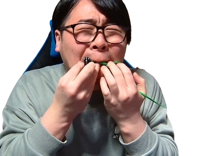 僕が普段使っているイヤホンはRazer Hammerhead Pro V2 音質も良いし