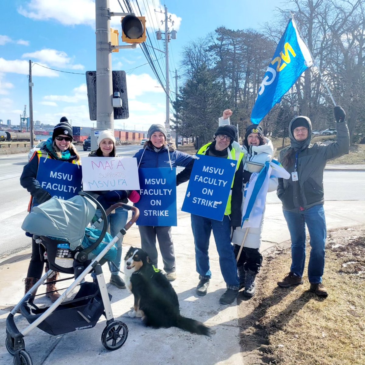 The youngest picketer yet to join us on the picket line is just 10 weeks old! @MSVUFA Thank you @ArdathJean Mount Alison FA, & NSGEU for your support💓