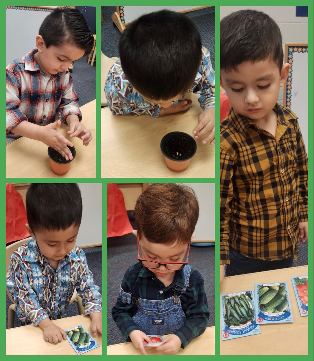 Ms. Ortega (@ortega_ecse) on Twitter photo Farm to Market Theme: Planting our crops! Making choices of which seeds to plant, following directions, & learning we can grow our own fruits & vegetables! 🥦 🥕 <a href="/HumbleISD_PREK/">HumbleISD ECE</a> <a href="/ReadandWriteBFF/">Dr. Lisa Edwards</a> <a href="/Amber_ECE_SLP/">Mrs. Amber the Speechie</a> <a href="/Barela_ECE/">Andrea Barela</a> <a href="/LEThomas_ECE/">Mrs Lauren Thomas-Austin</a> Farm to Market Theme: Planting our crops! Making choices of which seeds to plant, following directions, & learning we can grow our own fruits & vegetables! 🥦 🥕 <a href="/HumbleISD_PREK/">HumbleISD ECE</a> <a href="/ReadandWriteBFF/">Dr. Lisa Edwards</a> <a href="/Amber_ECE_SLP/">Mrs. Amber the Speechie</a> <a href="/Barela_ECE/">Andrea Barela</a> <a href="/LEThomas_ECE/">Mrs Lauren Thomas-Austin</a>
