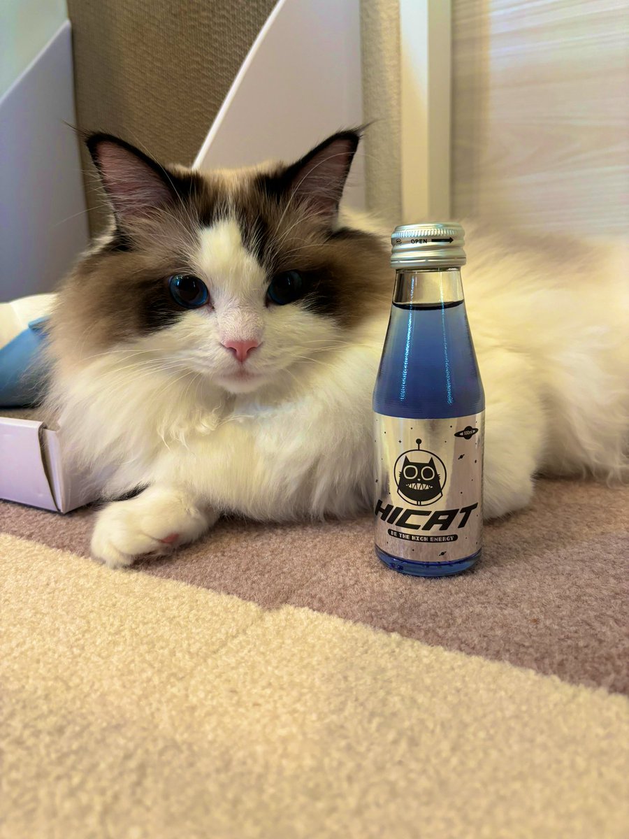 先導するZ@端末 (@zunok2) / Posts / X