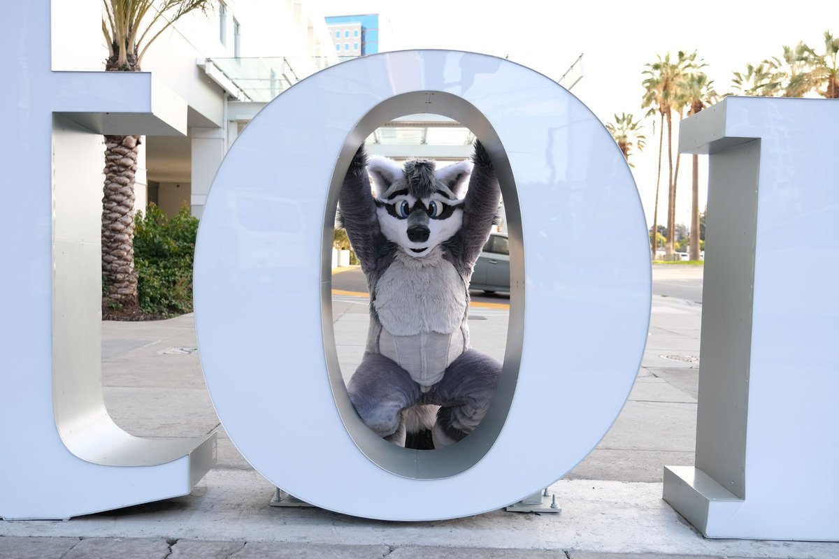 OH hello! :3

I’m just being a silly raccoon, like always.

#FursuitFriday 
🧵: <a href="/WaggeryCos/">Waggery Costumes</a> 
📷: <a href="/Shiranai225/">Shiranai</a>