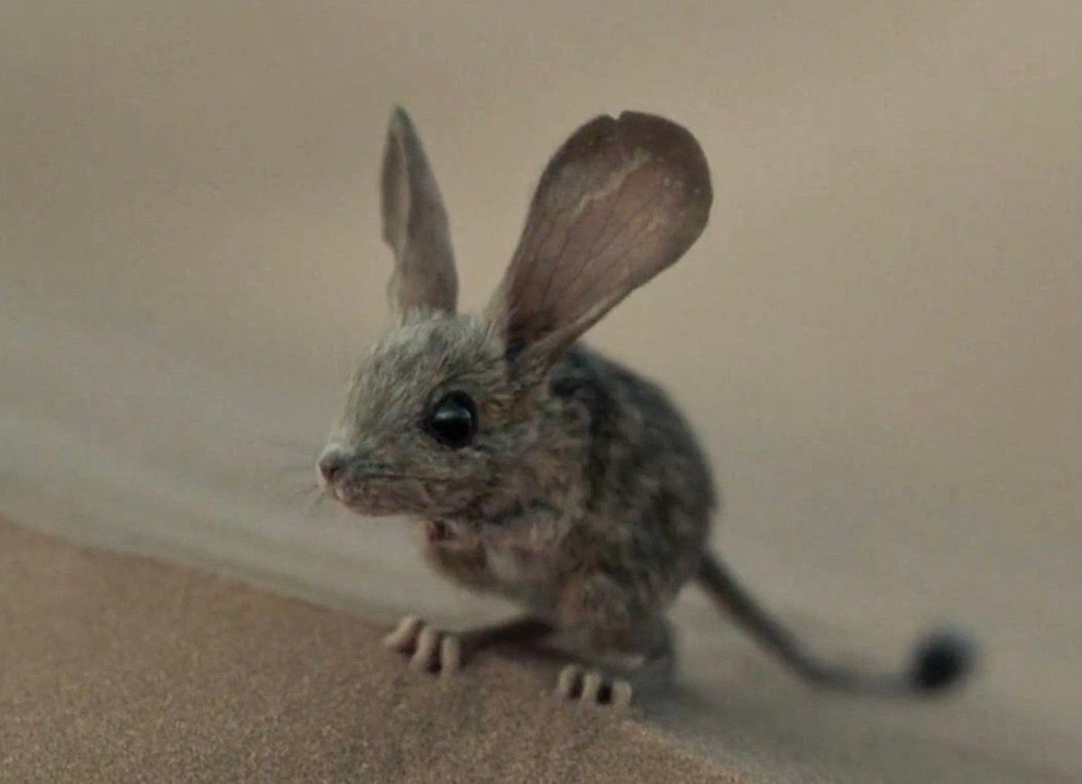 Arthouse Shawn Levy tweet media