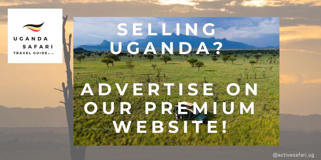 Recommended: 🎯Top opportunity for efficient advertisement. Reach your targeted audience 😉👋🏻 #tourism #marketing #Uganda #Safari #Travel #ITBBerlin 🔗ugandasafariexperience.com/advertise-with… cc @AxelKoster