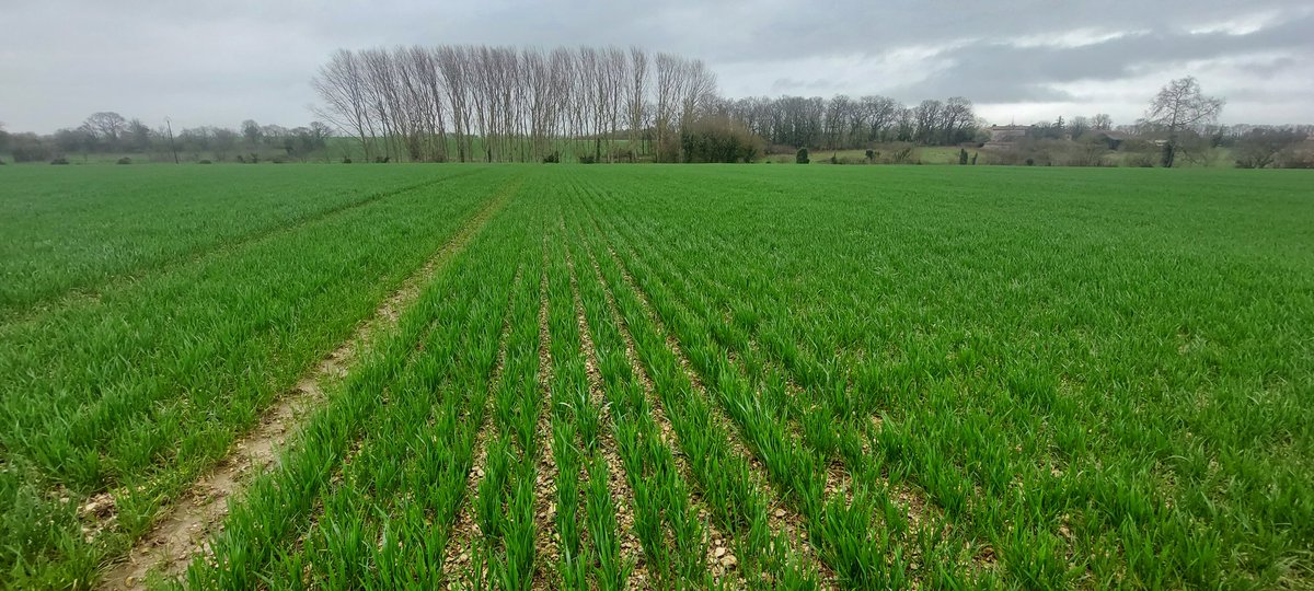 PETORIN François tweet media