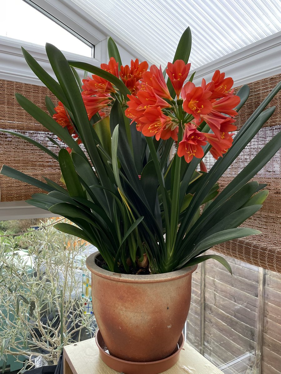 You can always tell what time of year it is!