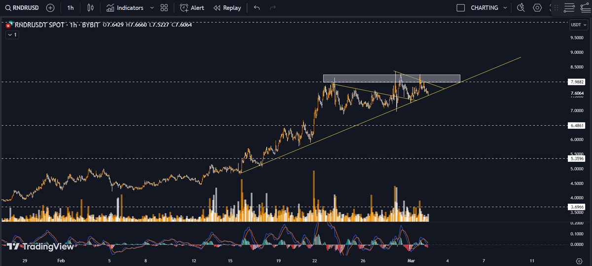 WH.OWL 🦉 tweet media