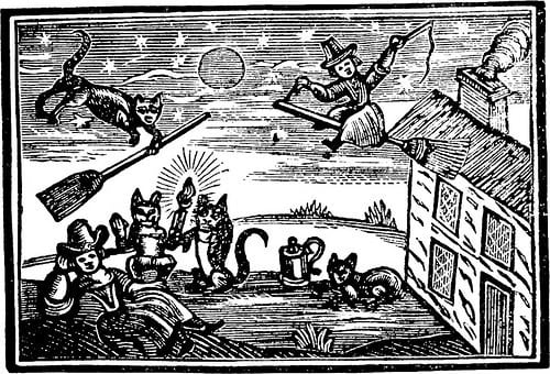 Anne Wagg, Our local 'witch' here in Ilkeston, was said to be able to turn herself into a cat. Of 'ill repute,' Anne was accused in 1650 of bewitching several locals over the years, including the wife of Reverend Fox. She survived, living out her days in the town. #Caturday