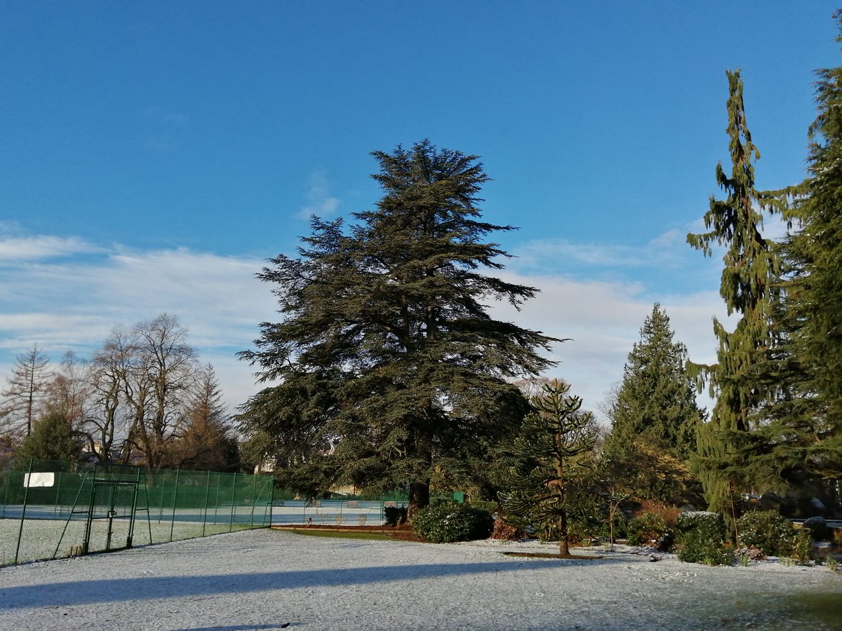 Linnett Hill tweet media