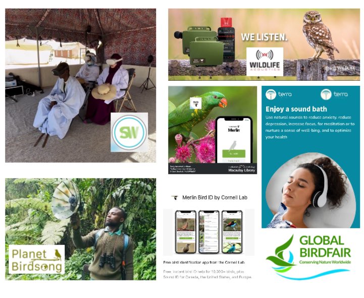 👂Heard about Global Birdfair 2024?
🎧Be immersed in sounds with <a href="/soundingwild/">Sounding Wild</a>
❓Join in the <a href="/MerlinBirdID/">Merlin Bird ID</a> Challenge
🦉Plus a hands on workshop
🦜Listen to wild places with <a href="/ListenWithTerra/">Listen with Terra</a>
🎙️Get great kit advice at <a href="/WildlifeAcoust/">Wildlife Acoustics</a>
💡Be inspired by <a href="/BirdsongPlanet/">PlanetBirdsong</a>
📣Join us there