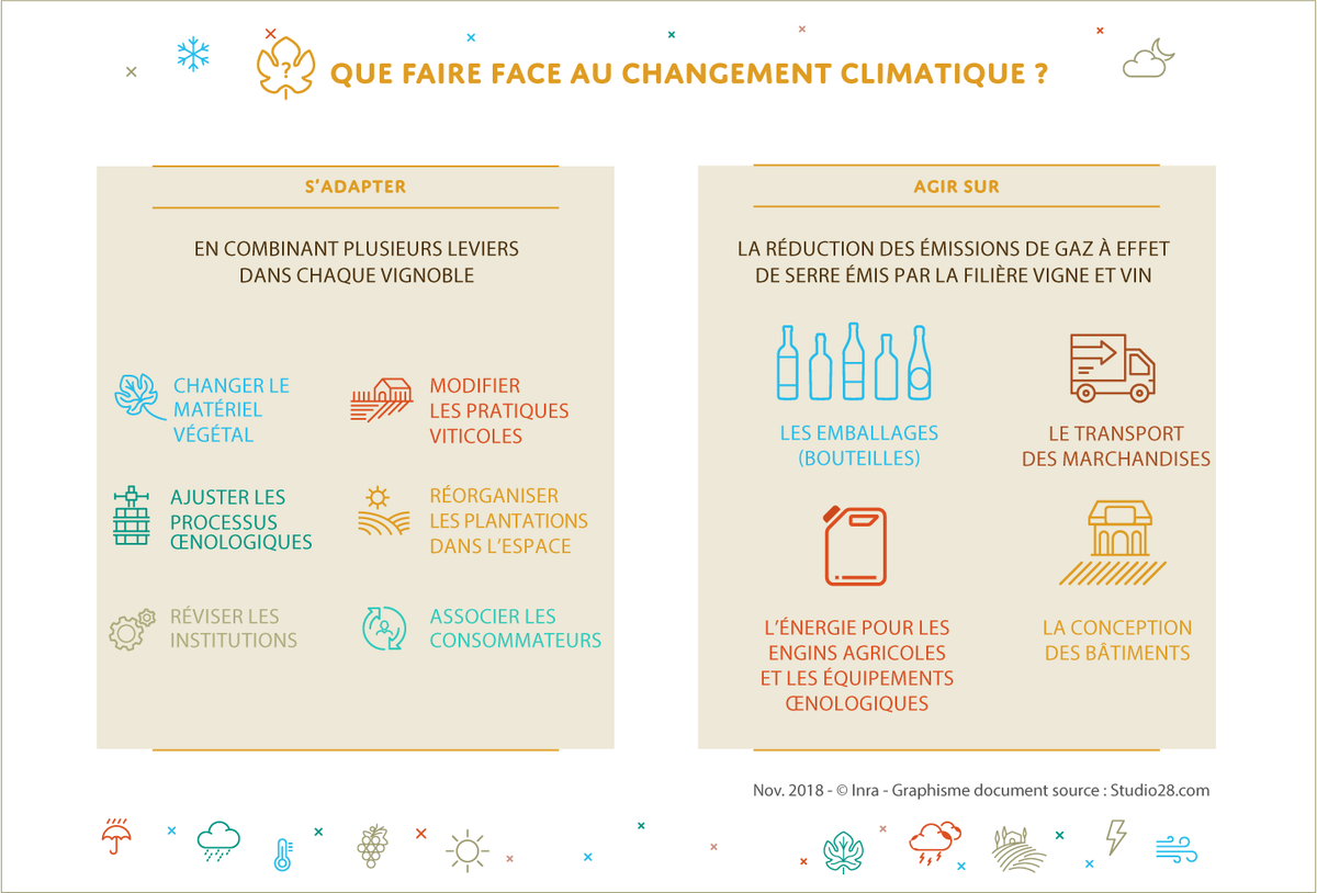 #SIA2024 Des recherches pour des solutions grandeur nature : adapter la vigne🍇et le vin 🍷face au climat
Les travaux du projet LACCAVE, après 10 ans de recherche, confirment que les impacts du changement climatique s’accentuent :
➡️développement plus précoce de la vigne, plus