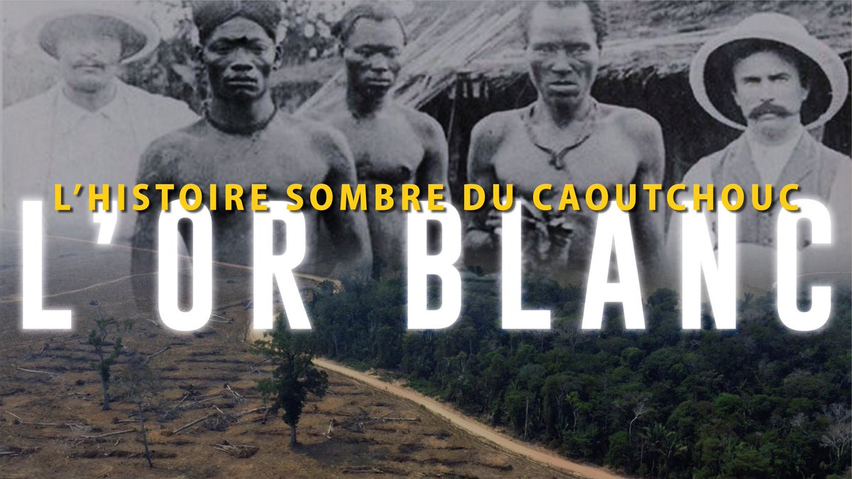 🛞NOUVELLE VIDÉO🌳
Revenons sur les origines du caoutchouc, une matière qui a révolutionné nos moyens de transport mais dont l'histoire est malheureusement un récit mondial entaché par l'exploitation humaine et environnementale.
⬇️⬇️
youtu.be/Fq8tO8L9wqo?si…