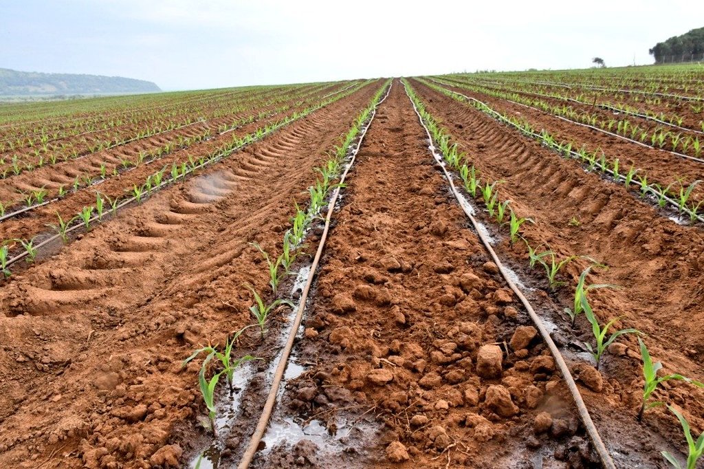 jcniyomugabo's tweet photo. Rwanda is completing the construction of the first phase of a major irrigation project, which includes a 21 km-long cement canal.

It is part of the Gabiro Agribusiness Hub Project, which covers 15,600 hectares.

Approx. $108M is being invested in the first phase of this project. https://t.co/CgzWKnRKyn