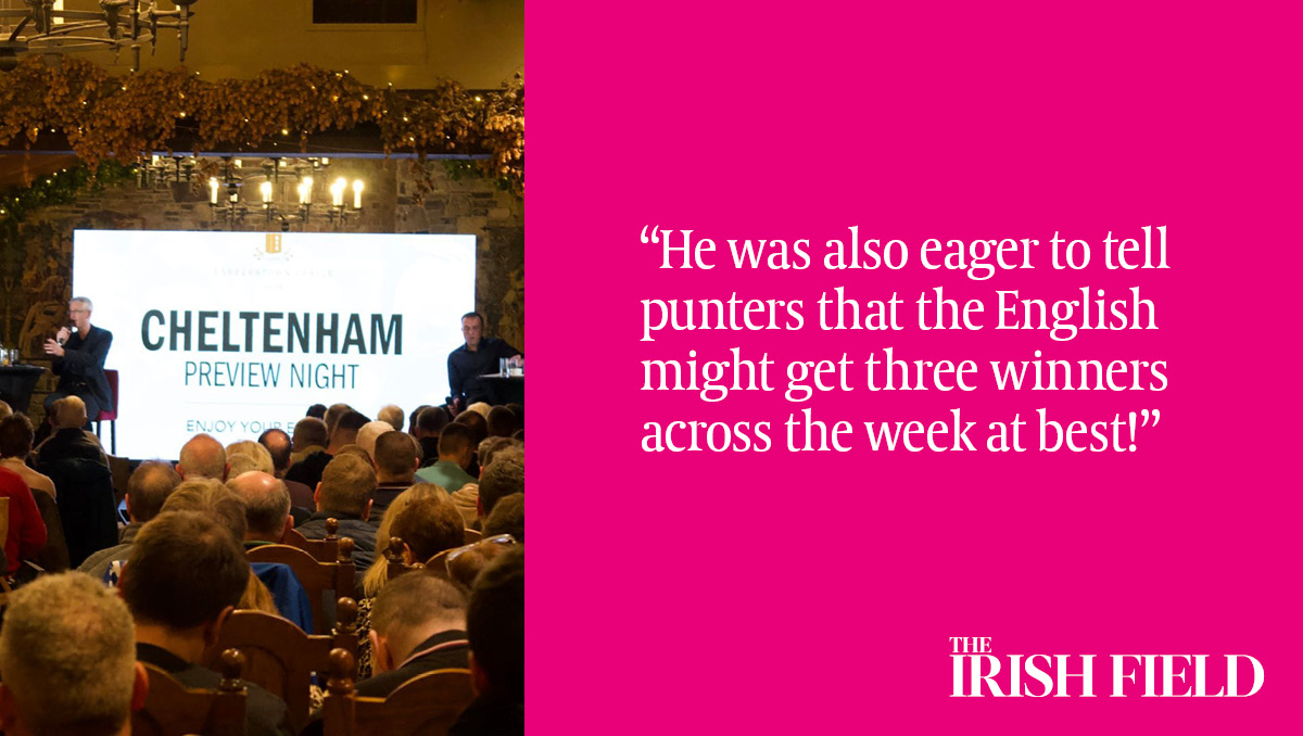 The Irish Field tweet media