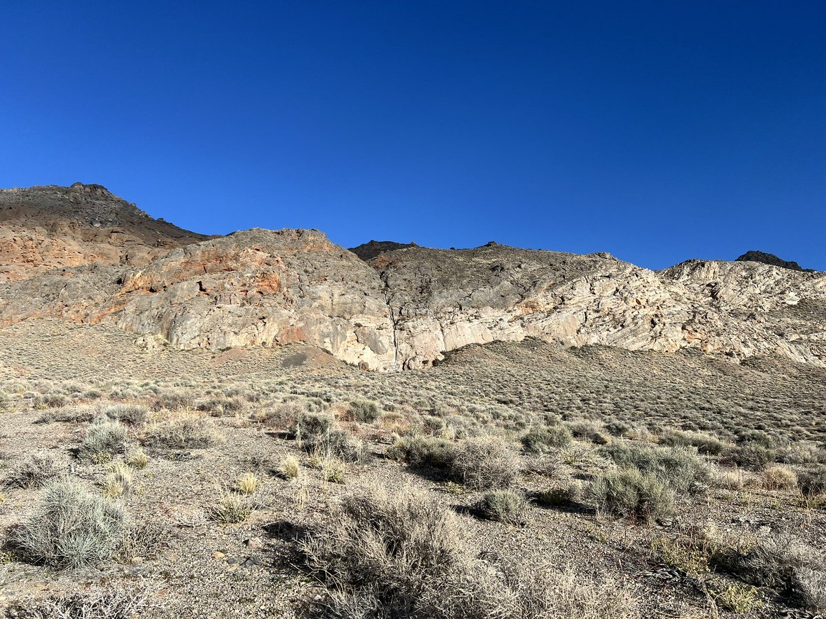 Andrew Dunning tweet media