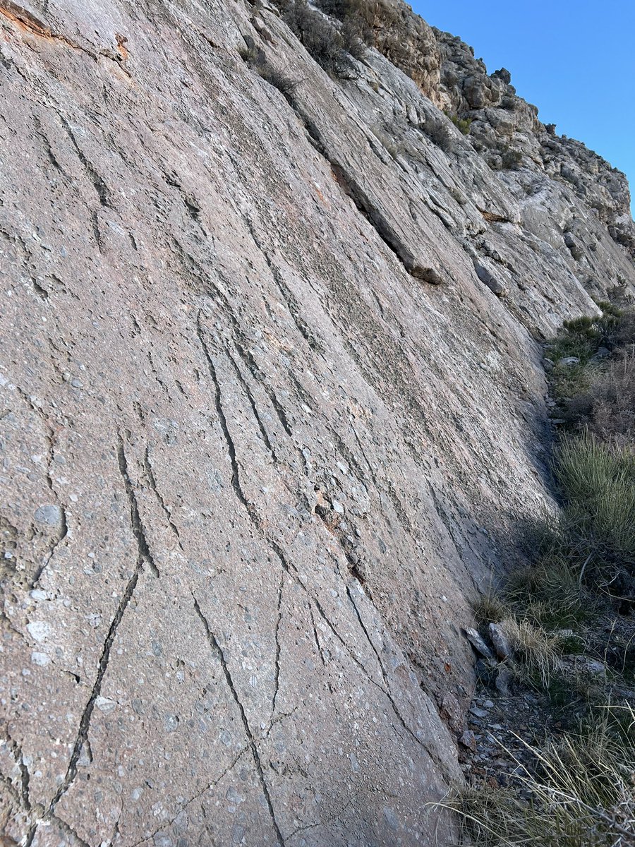 Andrew Dunning tweet media