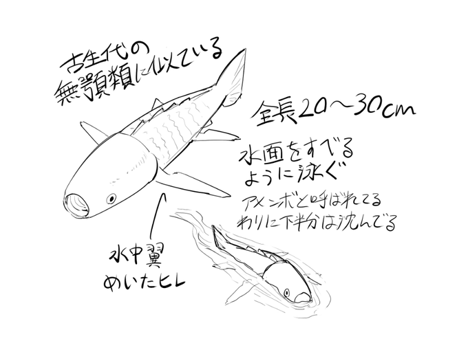 夢に出てきた魚「ウミアメンボ」です
実在のウミアメンボとは一切関係ありません 