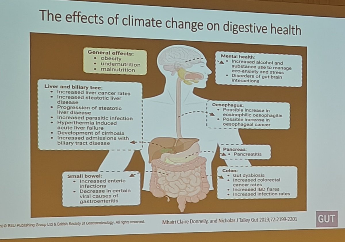 Kewin Siah tweet media
