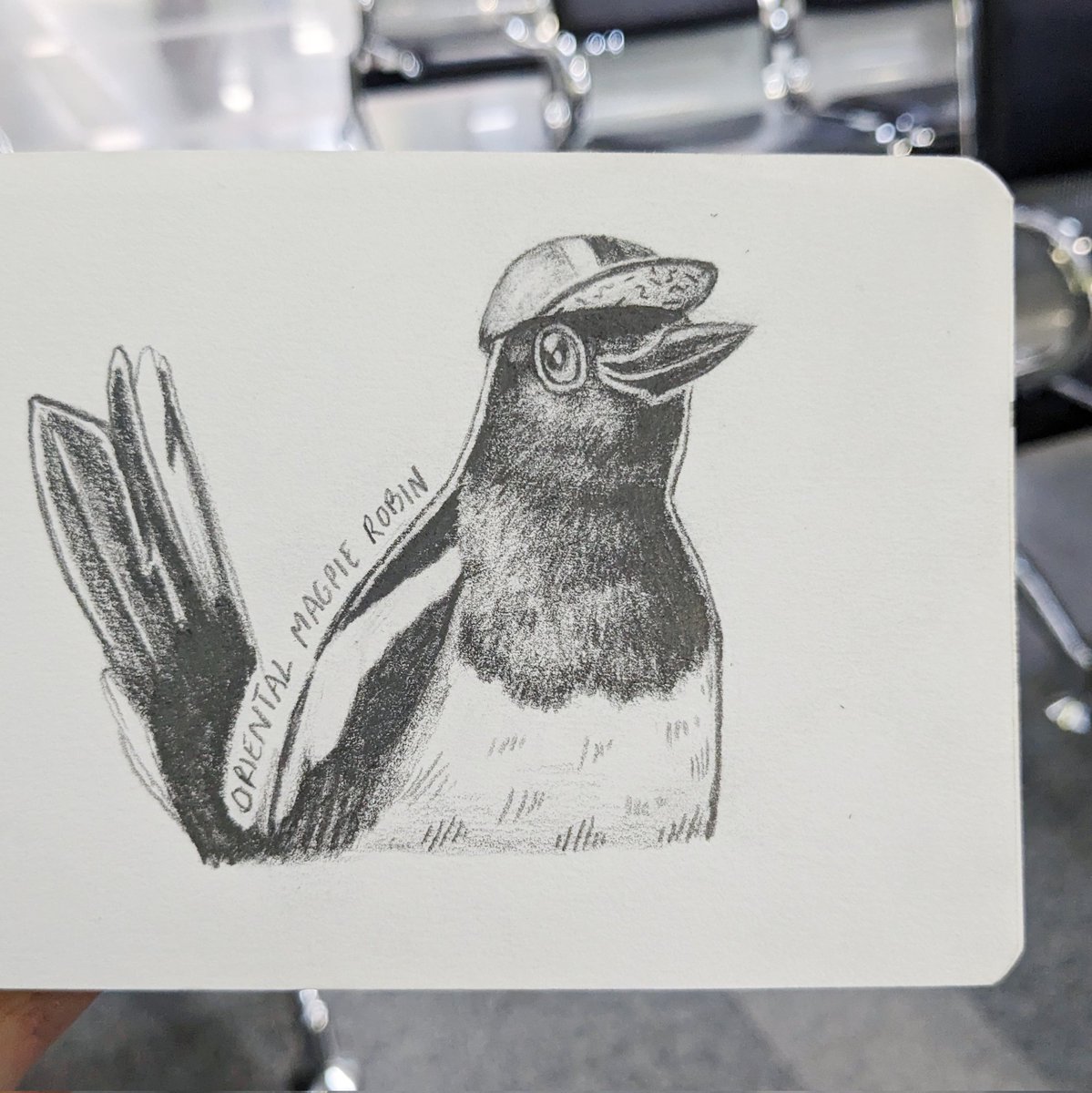Day 2: An Oriental Magpie-Robin in a cycling cap... One of my fave birds around Taipei 🖤

...Wearing a cycling cap, since I'm sketching while I wait in hospital for an x-ray. It's been over a year since my big old cycling accident - almost time to get all that metal out 🤖🩻