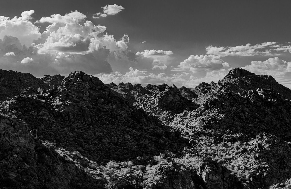 NFTPRINTZ tweet media