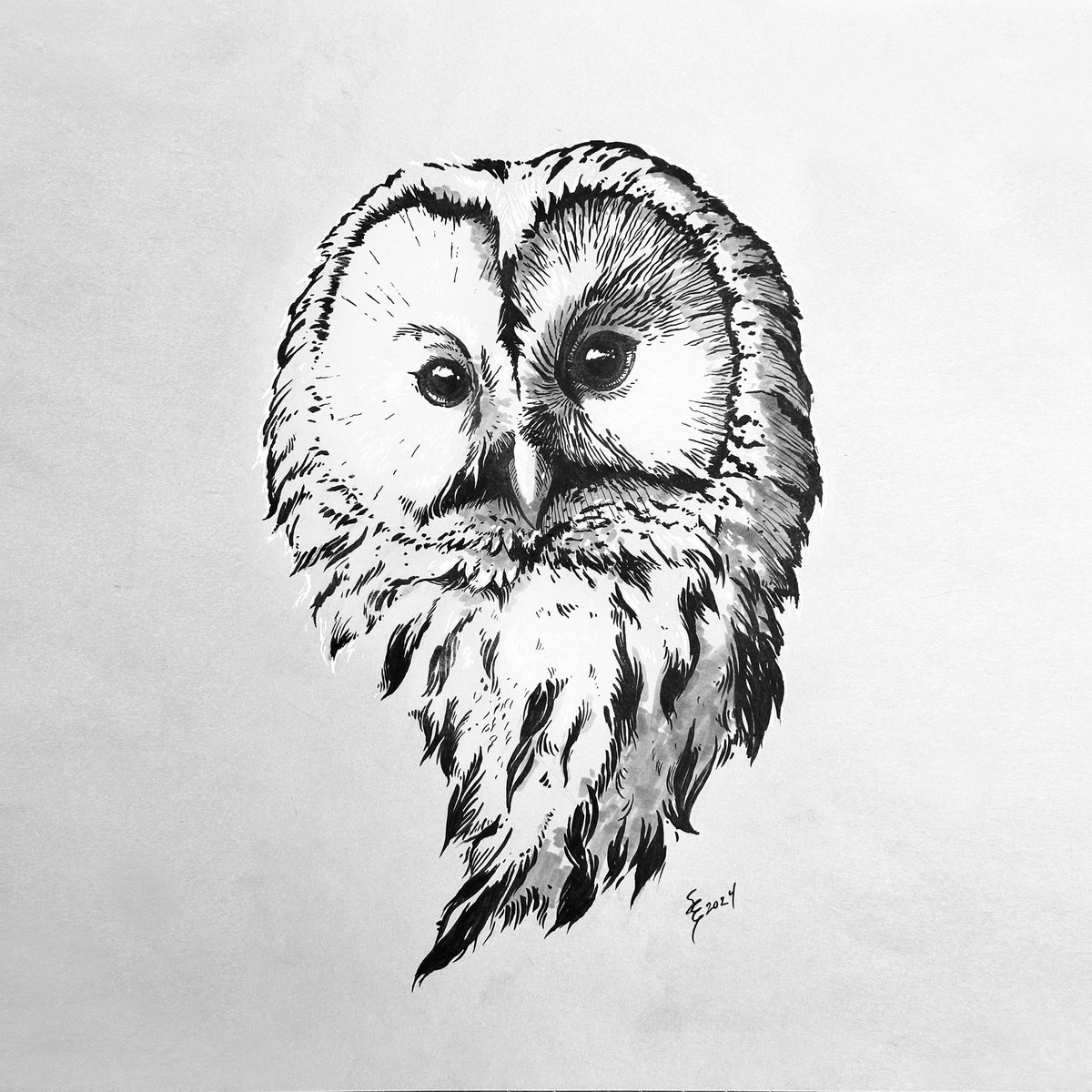 Ink and marker drawing of a Ural Owl for the Bird Whisperer Project. @BirdWhisperers First piece of artwork I’ve done in over a year! 🫣 #BirdWhisperer #uralowl #birds #art #birddrawing