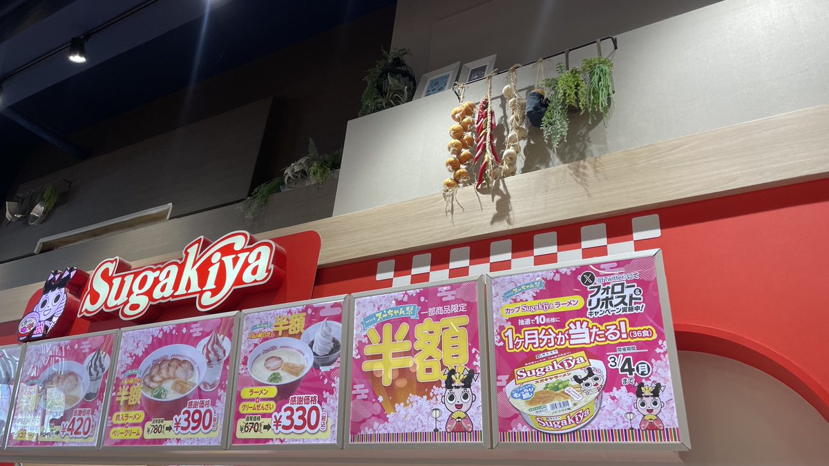 今日と明日はスガキヤ半額だよ～🍜