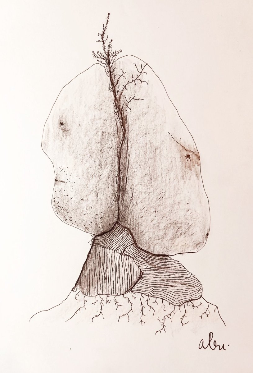 Alexandre Vuillaume-Tylski tweet media