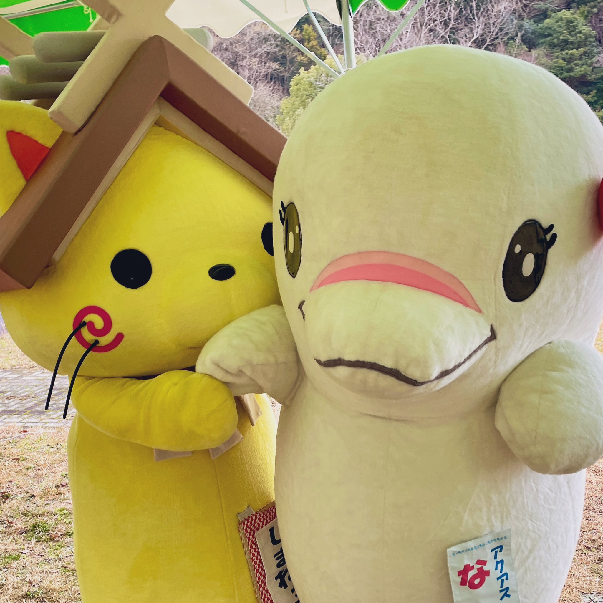 なみちゃん様❣️専用ページ ここ半年以内の自撮り大量に載せちゃう🧏🏻‍♀️🤍✨️