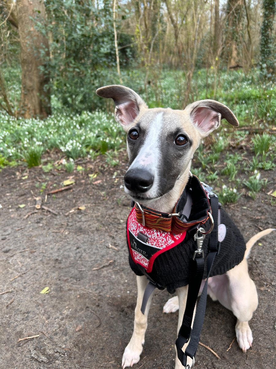 letitudes's tweet image. Someone says hi