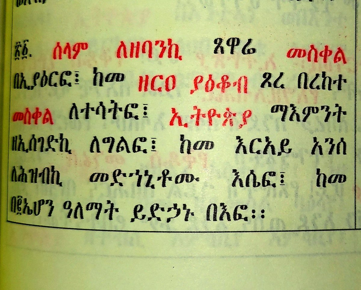 Yordanos Dn (@dnyordanos) on Twitter photo 