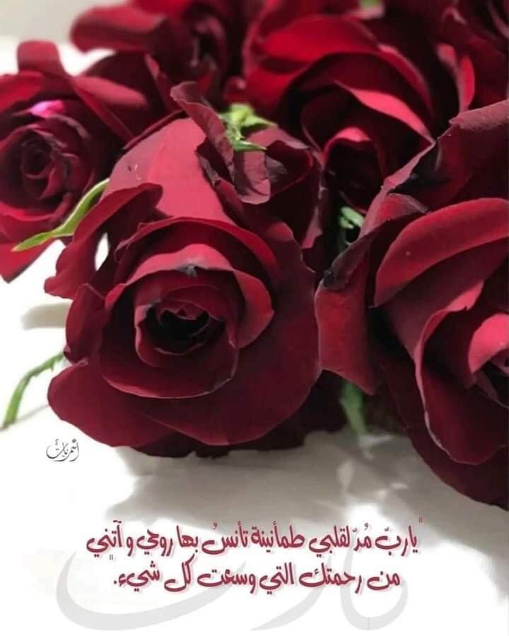 ✍️لا تحزن !!
فالمعصيه لها توبة،
والهم له فرج،
والقلق له راحة،
والضيق له سعة،
والحزن له سعادة،
وكل شيء له حل
فقط ثق بالله.. 
القوة بالله ، والعون منه ، والأمان معه ، وكل مخاوف الدنيا لا تساوي شيئاً عند التوكل عليه ."🌸#اسامه