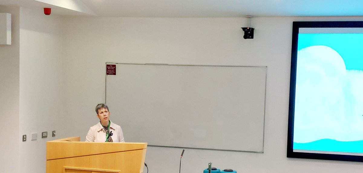 MajellaODea's tweet image. ATU President Dr Orla Flynn opening #Cesicon @OFlynnATU @cesitweets