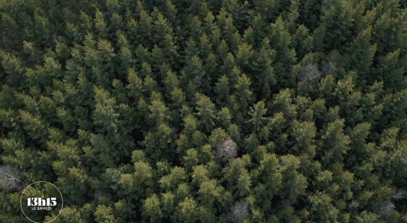 Elga Marzou tweet media