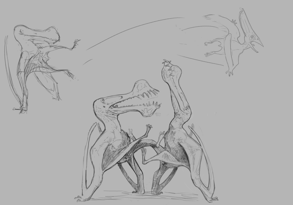 gadelha (@mf_gadelha) on Twitter photo 