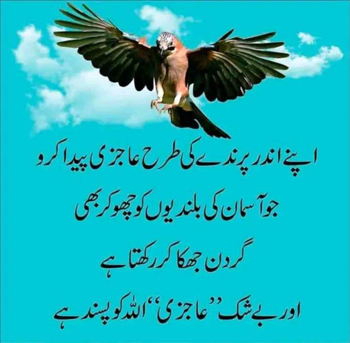 HaiderF97839146's tweet photo. https://t.co/j9IZWFcn7h