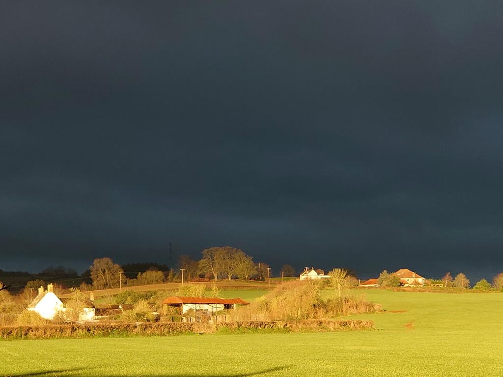 This view from my dining room window suddenly just lit up for a couple of minutes. That sky.....