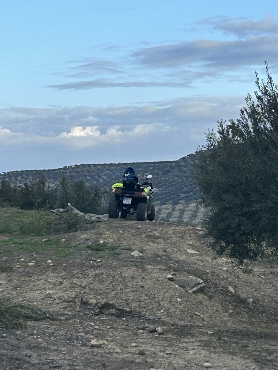 8ibero's tweet photo. Buenos días amigos de @agropopular desde Porcuna en Jaén, seguimos con las tareas de poda, acordone y picado del Ramon, cielos empezando a cubrirse , empieza a refrescar el día y se espera lluvia leve a partir de la tarde-noche. Dubái  #AgropopularOCM ha mejorado algo el campo https://t.co/3jh9BLxXrN