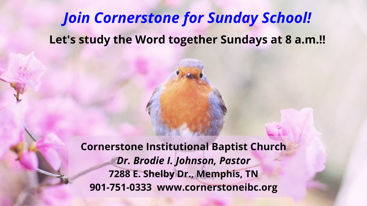 Cornerstone Institutional Baptist Church Cornerstone IBC X