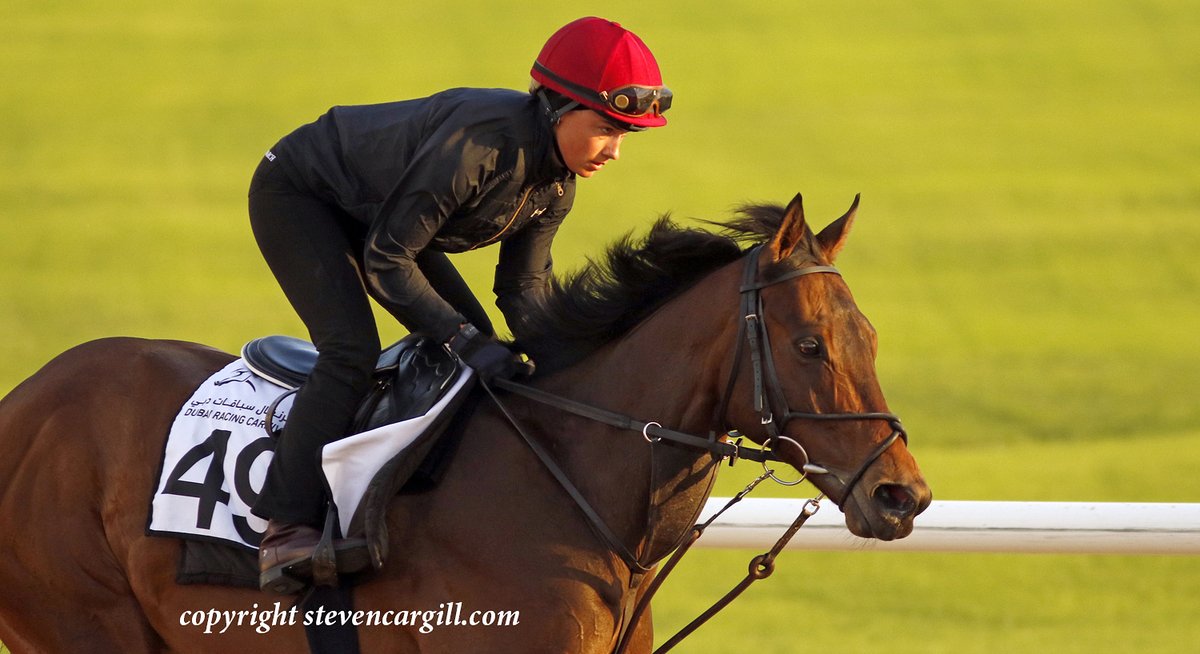 Steven_Cargill's tweet photo. EMARAATY ANA @georgiaakingg_ and MANY A STAR on track @RacingDubai yesterday for @osbornejamie https://t.co/DkmBCS378l