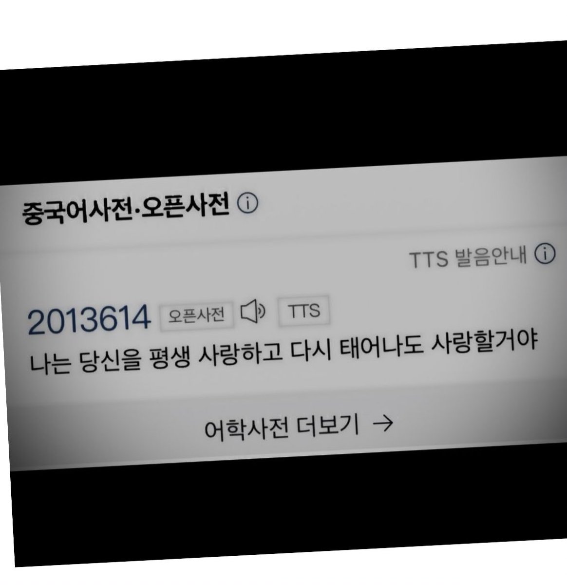 slow 땃쥐강쥐 tweet media