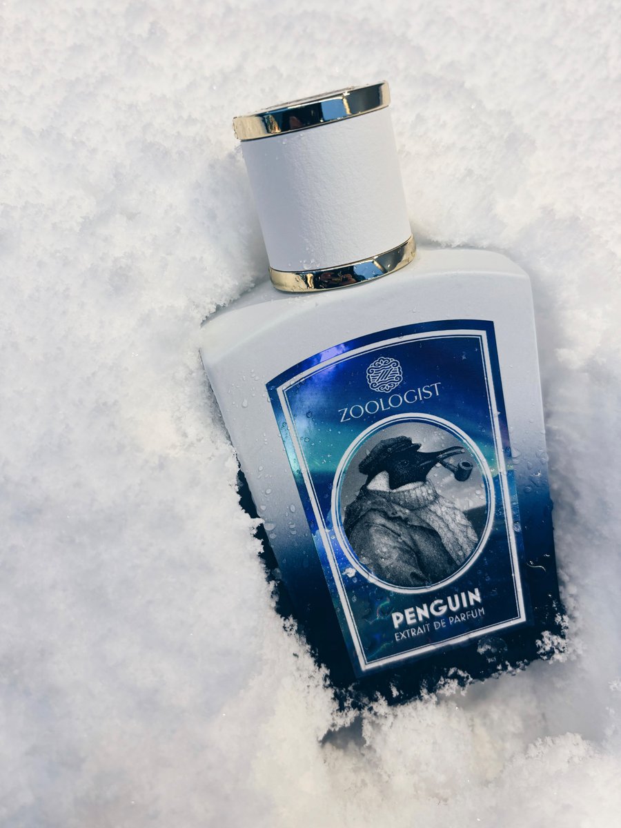 Zoologist｜ペンギン 氷と雪に覆われた南極を想起させるような