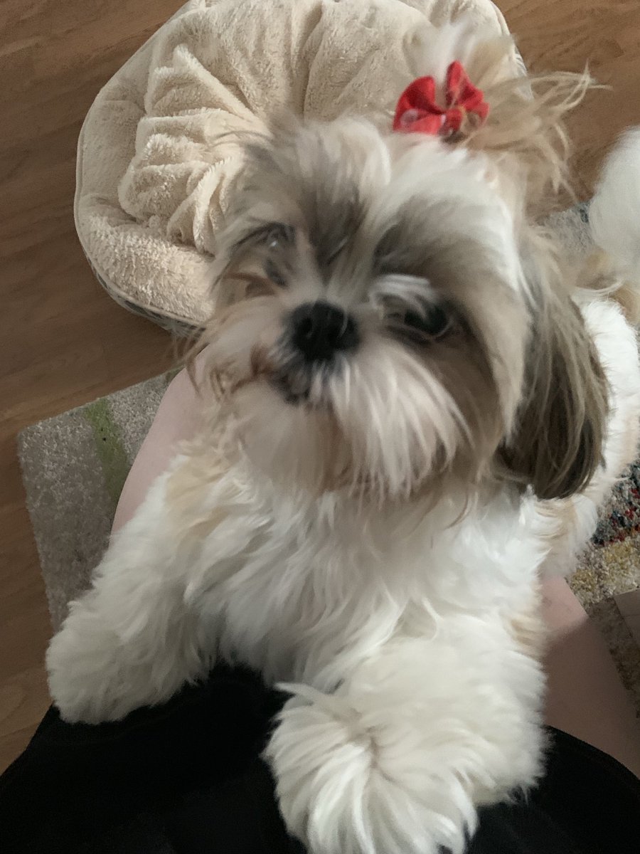 GLtk144's tweet photo. Ma belle Tessy https://t.co/3NBnpQX68M