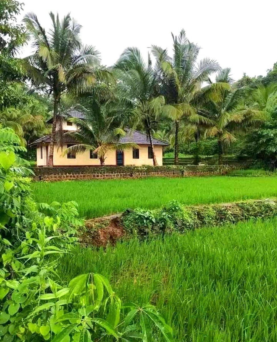 Nagercoil, Kanyakumari 💚😍