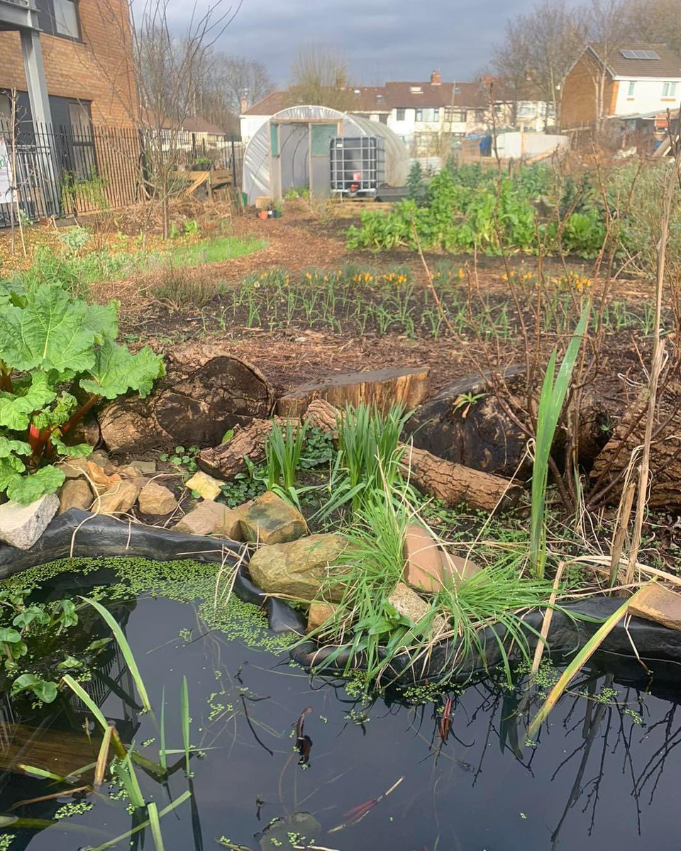 It’s that time of year when @EdibleBristol are looking for new members for their core team of community growers. If you fancy supporting them in the gardens, can commit to 2 four hour work parties a month, and want to get active growing food. Email sara@ediblebristol.org.uk