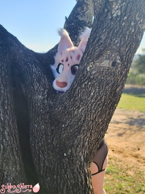Did I hear....treats? *ears perk* https://t.co/eaLeeGWsgF<a href="/tag/newprofilepic"class="tags"><span>#newprofilepic</span></a>