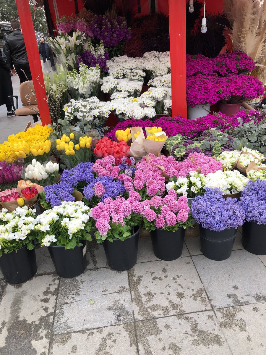 Günaydınlar rengarenk geçsin gününüz🥰💙🦋#Bağdatcaddesi