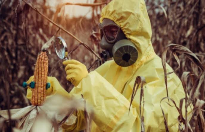 Türkiye'den Avrupa ülkelerine ihraç edilen, ancak kontroller sırasında kimyasal karışıma maruz kaldığı tespit edilen ürünler Türkiye’ye geri gönderiliyor. Peki geri gönderilen ürünlerin akıbetini merak eden bir tek ben miyim?