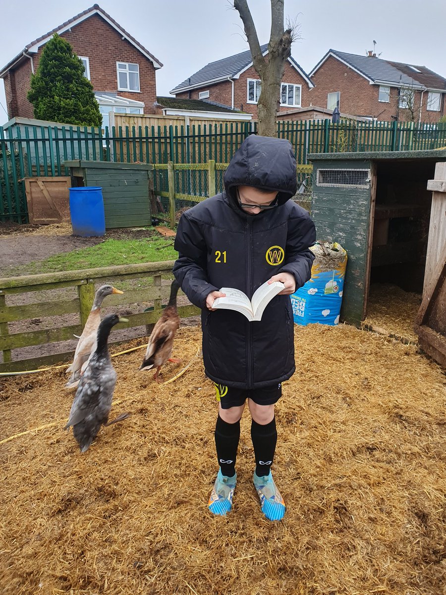 Rachael king tweet media