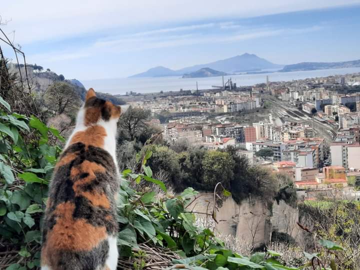 Ah,se  la bellezza potesse curare anche il corpo!
