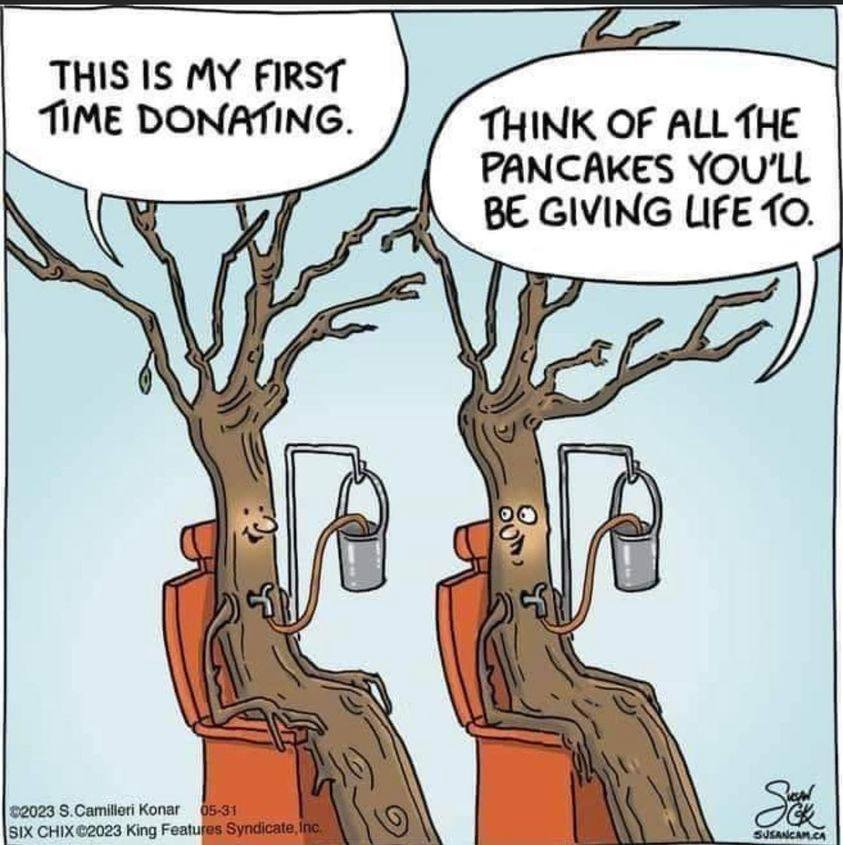 Happy Maple Season! 🍁🪣😆